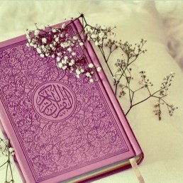 علوم السنة النبوية